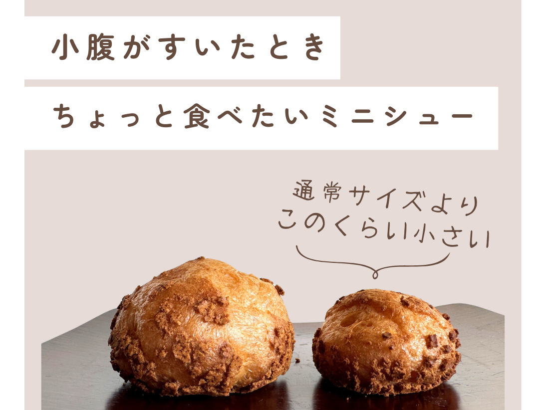 【ミニ】かみのやまシュー限定パッケージ!数量限定【訳あり】