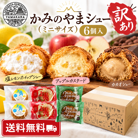 【訳あり】ミニシュー3種6個詰め合わせ【送料無料】※同梱不可※
